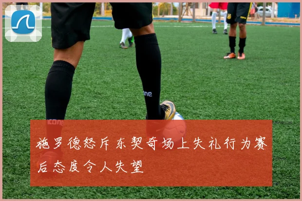 施罗德怒斥东契奇场上失礼行为赛后态度令人失望