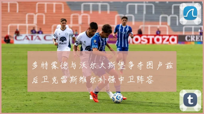 多特蒙德与沃尔夫斯堡争夺图卢兹后卫克雷斯维尔补强中卫阵容