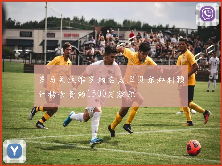 罗马关注维罗纳右后卫贝尔加利预计转会费约1500万欧元