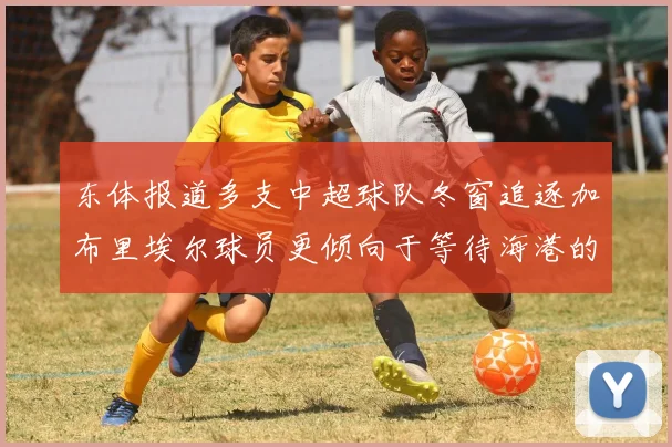 东体报道多支中超球队冬窗追逐加布里埃尔球员更倾向于等待海港的机会