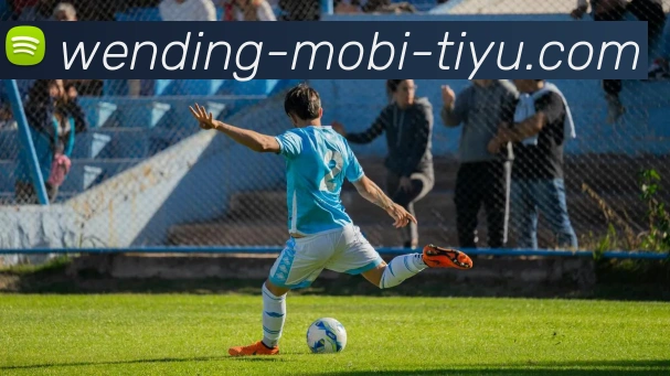 App Interface Preview