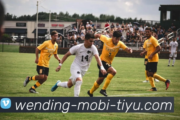 问鼎娱乐APP 封面图